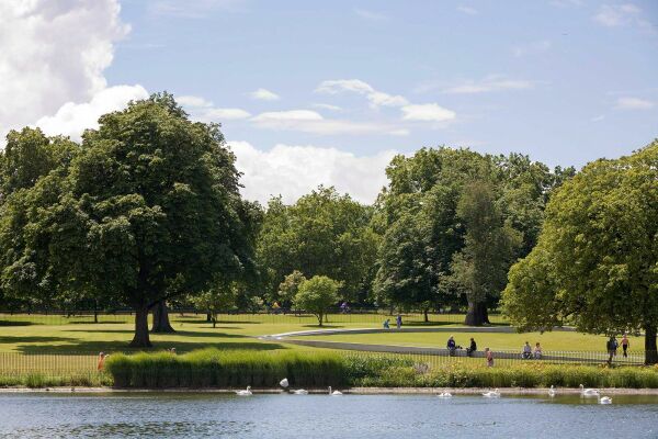 Luxury Apartments Near Hyde Park: A 13-Minute Walk or Less
